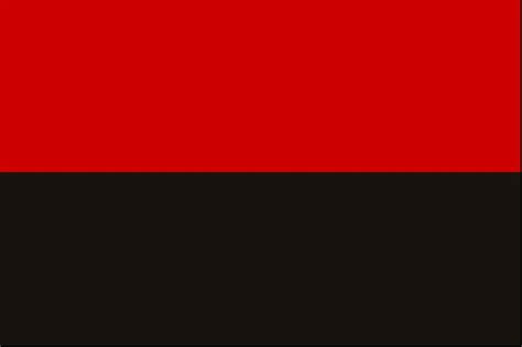 Why Is The Red And Black Flag Seen At Rallies In Support Of Ukraine