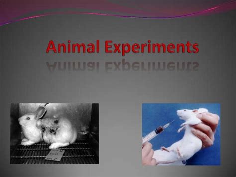 Animal experiments