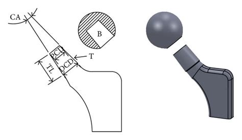 Diagrammatic Representation Of A Femoral Head Neck Taper Junction