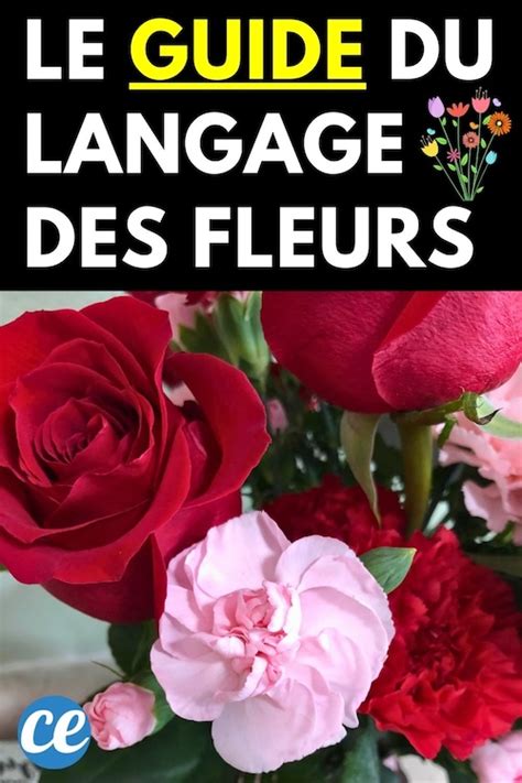 Chaque Fleur A Une Signification Voici Le Guide Du Langage Des Fleurs