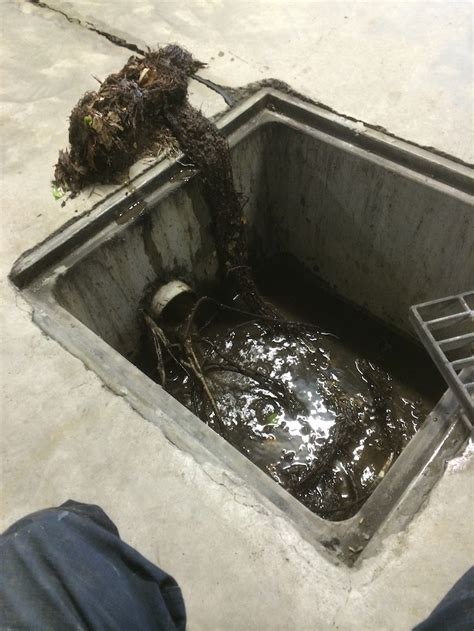 Stormwater Pit Blockages Gap Trade Services Plumbing Drainage Gas