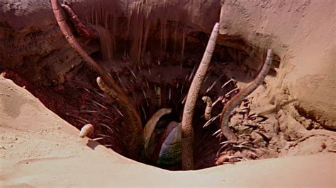 Sarlacc Jedipedia Fandom