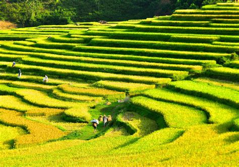 Mai Chau weather - Best time to visit Mai Chau - Vietnam Travel