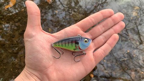 Catching Big Bass In Public Ponds On A Walmart Lipless Crankbait