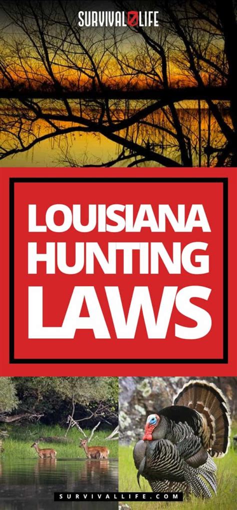 Louisiana Hunting Regulations 2024 Faith Cherrita