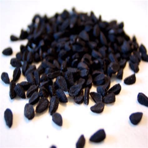 Black Cumin Hydrosol Moksha Lifestyle Products