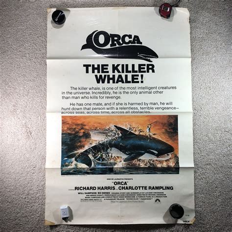 Orca The Killer Whale Movie Poster