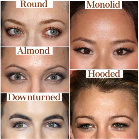 Botox Brow Lift Everything You Need To Know — Natural Injector