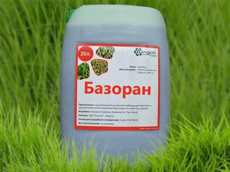 Лучшие средства от сорняков на 2024 год: эффективные методы борьбы с ...
