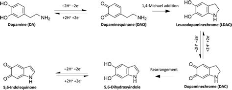 Structure Of Dopamine And Its Common Interferents At Physiological Ph Download Scientific