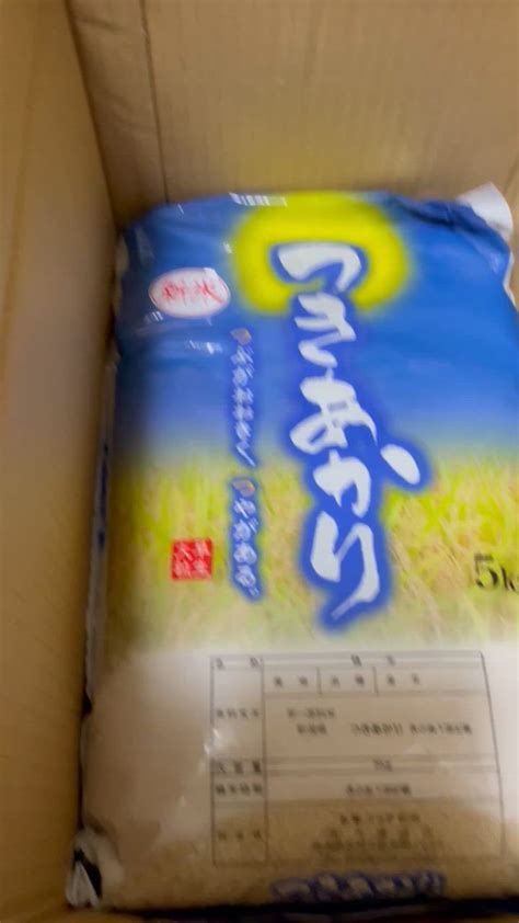 新米予約 10kg 新潟産 つきあかり お米 令和6年産 送料無料（北海道、九州、沖縄除く） Tukiakari10 Po お米プラザ