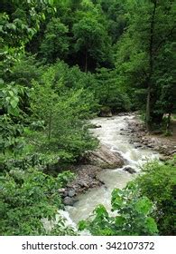 Forests North Iran Near Asalem Caspian Stock Photo 342107372 | Shutterstock