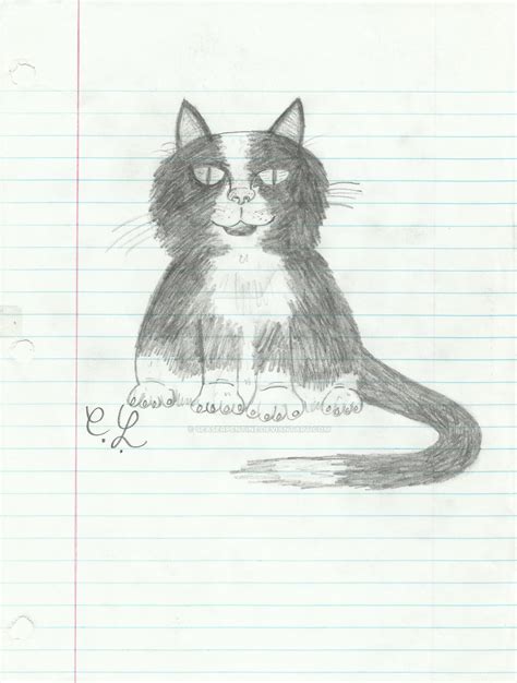 Fluffy Cat by SeaSerpentine on DeviantArt