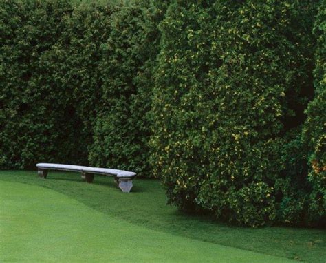 Decorative Garden Hedge Fence Ideas, Tips and Examples | Founterior