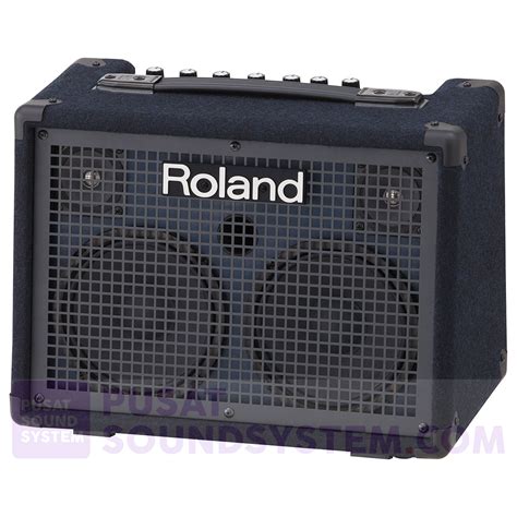 Jual Roland KC 220 Ampli Keyboard 2x6 5 6 5 Inch 30 Watt