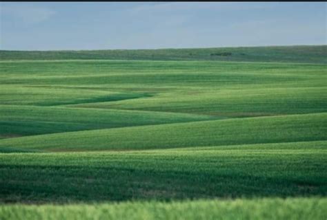 landforms flashcards quizlet