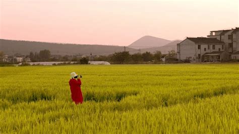 相约安徽·向春而行 你要写含山，就不能只写含山视频全屏详情