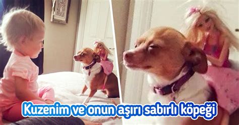 Sevgisi ve Sabrı Sınır Tanımayan 18 Evcil Hayvan Olumlu Bak