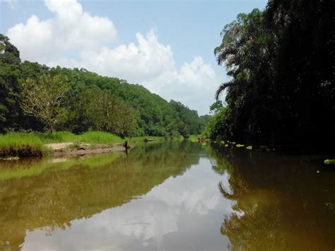 Tortuguero Canals and Limon City Tour - Pleasure Ride Reservations