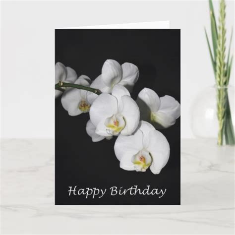 Happy Birthday White Orchid Card