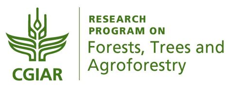 The links between forests, food security & nutrition