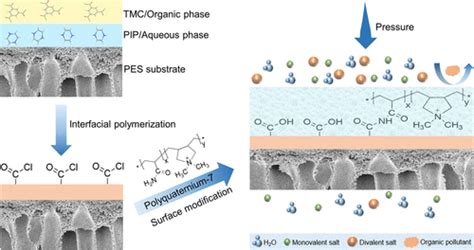 Polyamide Nanofiltration Membranes With Enhanced Desalination And