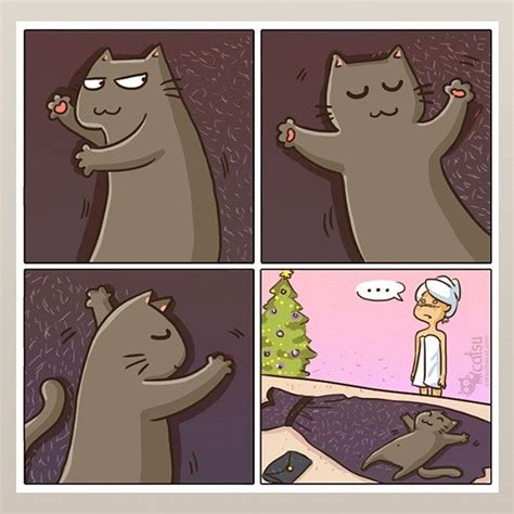 12 Comics That Are Too Realistic When It Comes To Living With A Cat