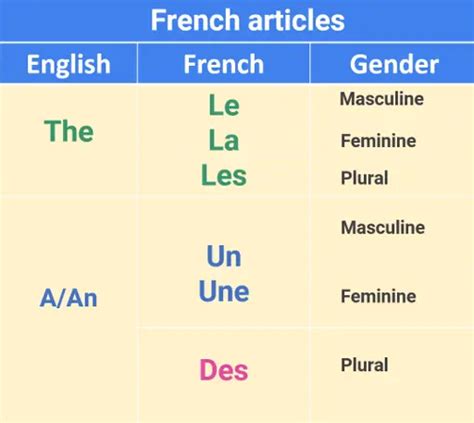 French Plural Rules Examples And Exercises Transtle