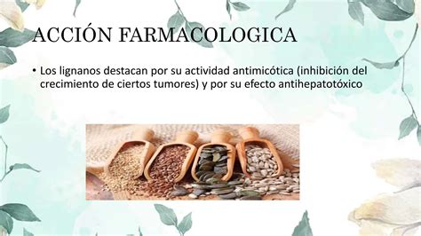 CUMARINAS Y LIGNANOS DE FARMACOGNOSIA 1 Pptx Descarga Gratuita