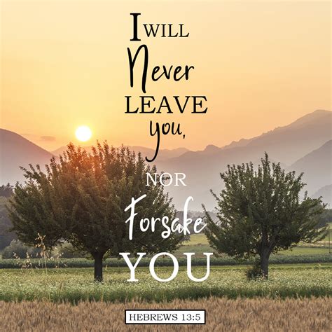 I Will Never Fail You Or Forsake You Hebrews Outlet