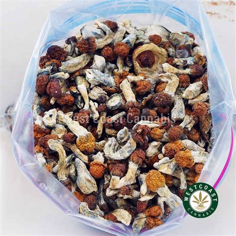 Shrooms Jedi Mind Fuck West Coast Cannabis