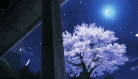 Night Scenery Anime Aesthetic  Anime Night S Get The Best 