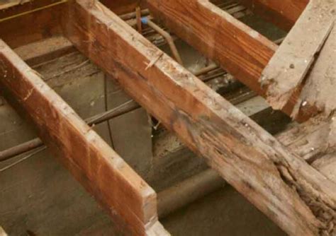 Reinforce Floor Joists With Plywood Carpet Vidalondon