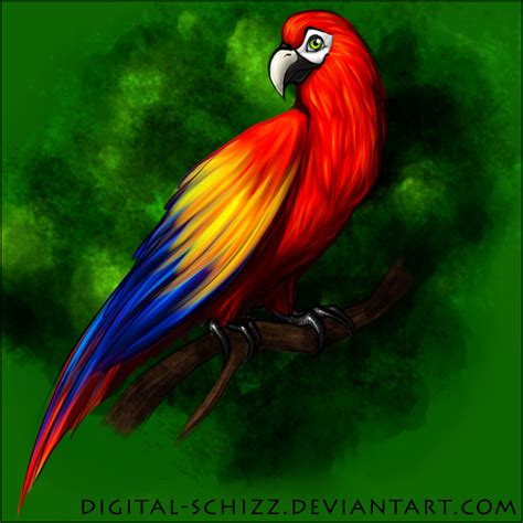 Scarlet Macaw Drawing At Getdrawings Free Download