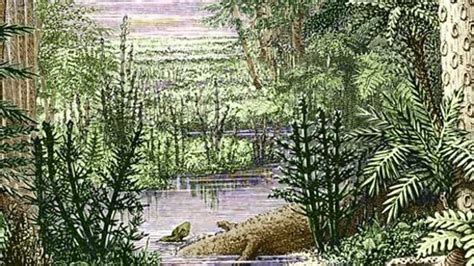 Carboniferous Landscape Stock Video Clip K004 4321 Science Photo Library