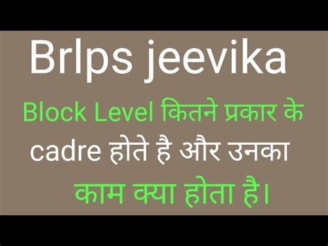 Block Level Jeevika Cadre Types Of Cadre In Jeevika YouTube