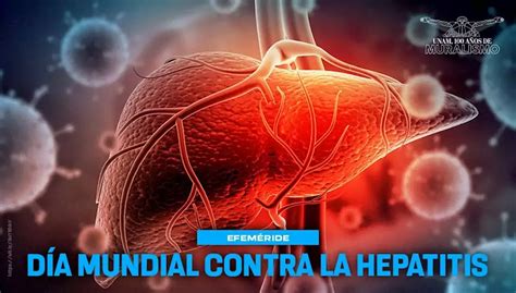 Qué es la hepatitis Gaceta UNAM México Head Topics