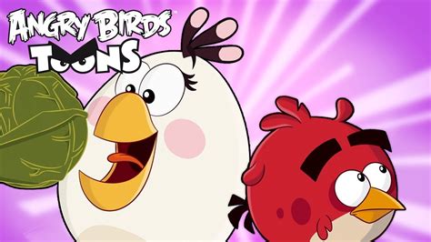 Angry Birds Toons Season 3 Ep 11 To 15 Youtube