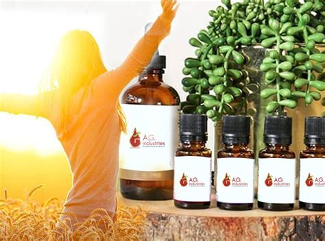 Best Essential Oils For Uplifting Mood Natural Mood Boosters