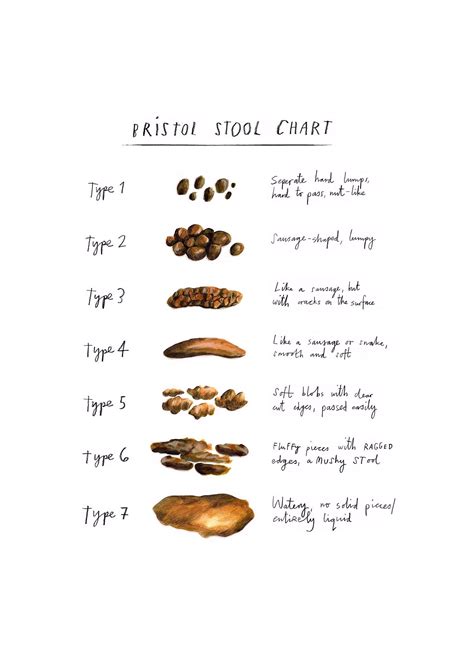 Bristol Stool Chart Health