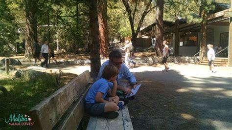 The Junior Ranger Program at Yosemite National Park - MALIBU MAMA LOVES