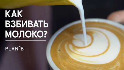 Как взбить молоко для капучино? / Пошаговая инструкция взбивания молока ...
