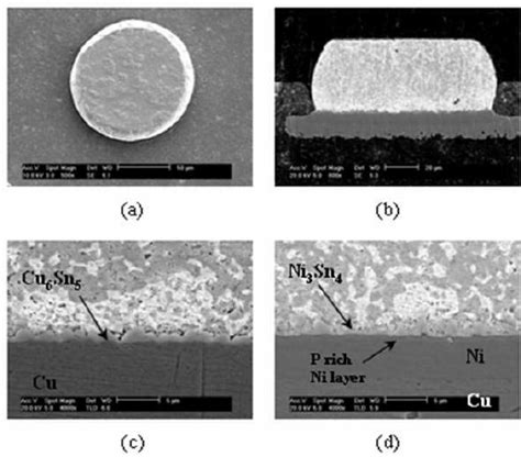 Sem Images Of Coined Solder Bumps On Pcb Substrates A Top View B