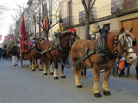 Festes De Sant Antoni Abat 2023 Tradicionals Tres Tombs Ajuntament D