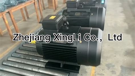 Ye3 Iron Shell Ys Aluminum 1 Phase 3 Phase Ac Motor 375kw 200kw 132kw