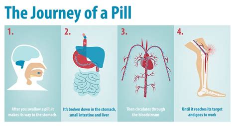 How Do Drugs Work In The Body