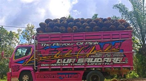 Satu Pabrik Di Bengkulu Tengah Kembali Naikan Harga Tbs Sawit Rp