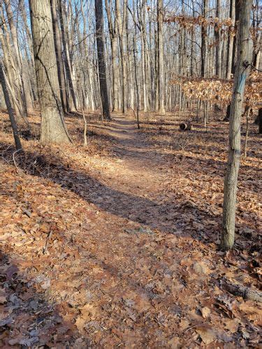 Best Hikes And Trails In Magruder Branch Stream Valley Unit 1 AllTrails