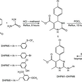 general route for the synthesis of 1,4-dihydropyrimidine analogues ...