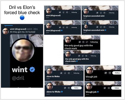 Evan🤷🏻‍♀️ On Twitter Rt Lorisuzanne3 Elon Trying To Force Dril To Wear The Blue Badge Of